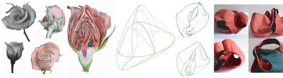 la pauta que conecta